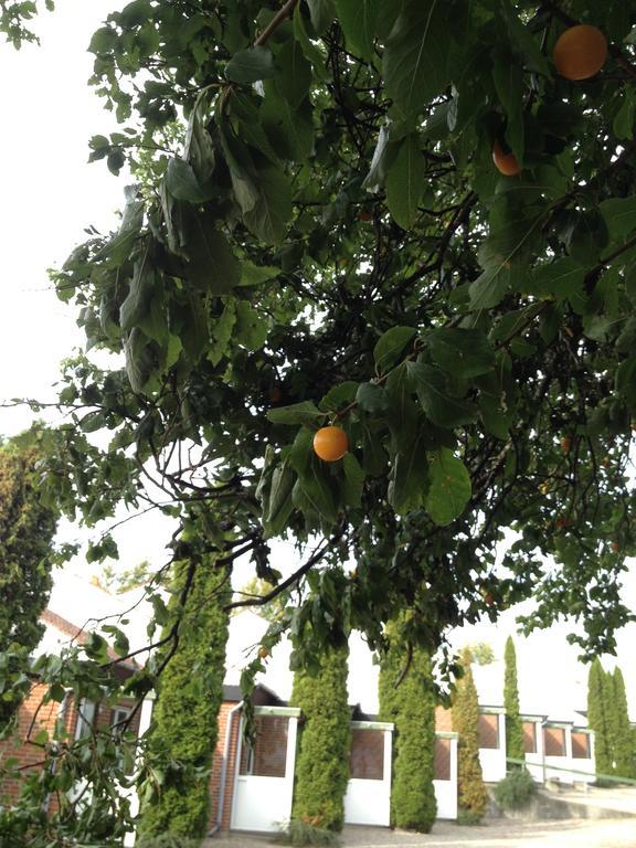 Den Gamle Gaard Apartments Nysted Luaran gambar